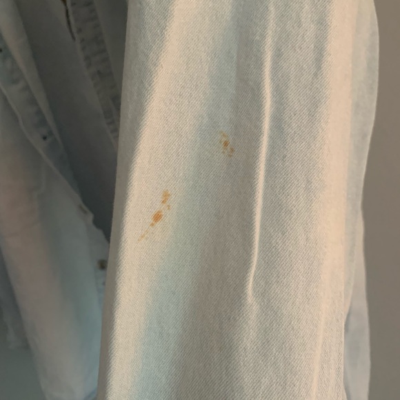 Peregrine Embroidered Rottweiler Button Down Denim Color Dog Shirt - Picture 8 of 9